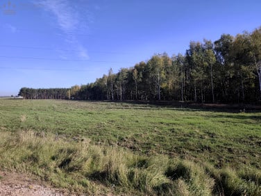 Działka budowlana Nuna