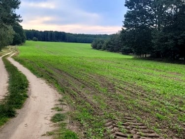 Działka rolna sprzedam