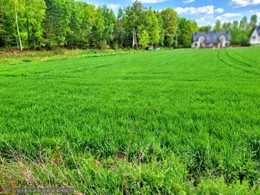 Działka budowlana Michałowice