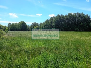 Działka budowlana Kozery