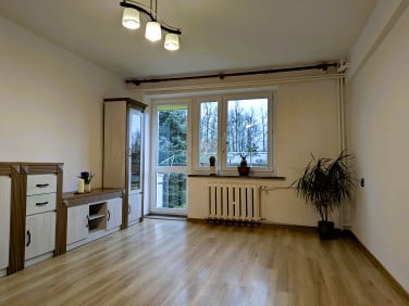 Mieszkanie Gryfów Śląski