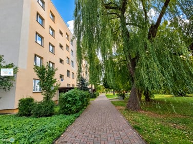 Mieszkanie Kielce sprzedaż