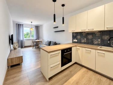 Mieszkanie apartamentowiec wynajem