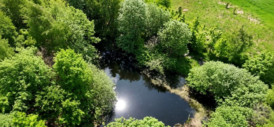 Działka inna Wysin