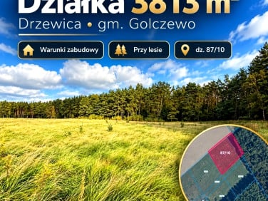 Działka budowlana Drzewica