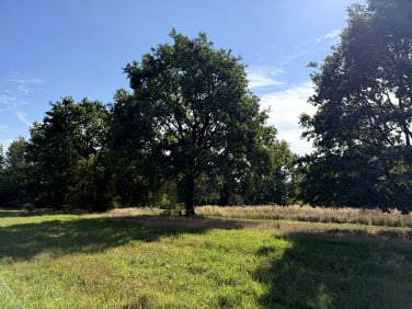 Działka budowlana Tychy