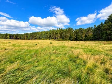 Działka budowlana Drzewica sprzedam
