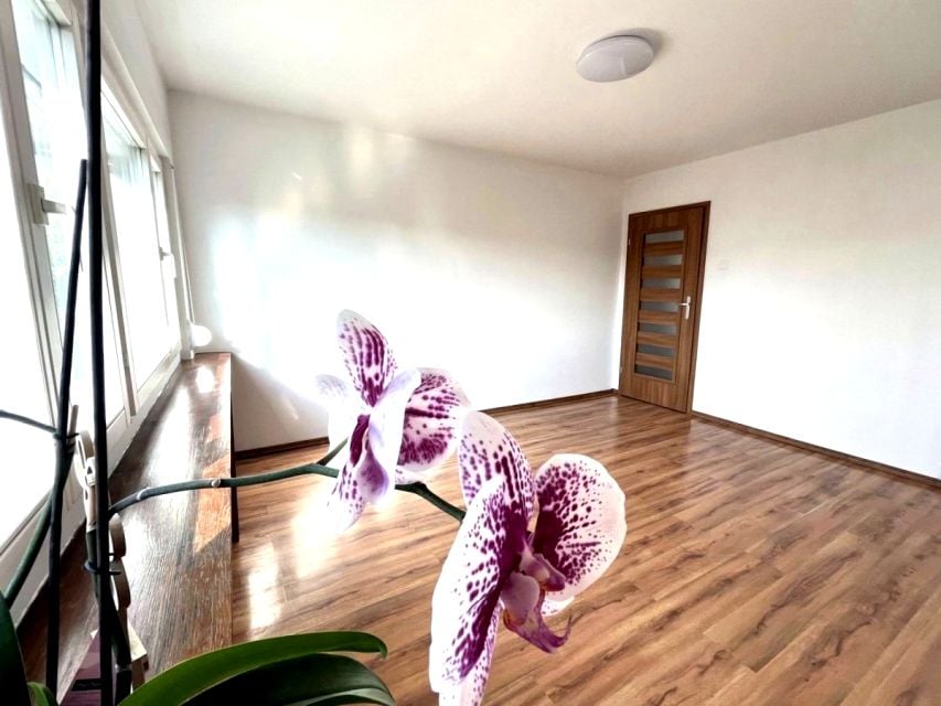 Sprzedam Mieszkanie Poznań - 53,50 m²