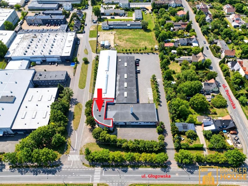 Wynajmę Lokal użytkowy Opole - 308,39 m²