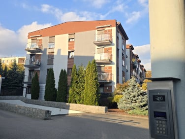 Lokal WŁOCŁAWEK