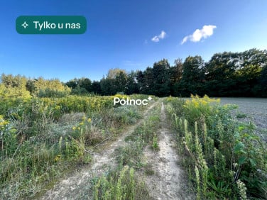 Działka budowlana Łazy
