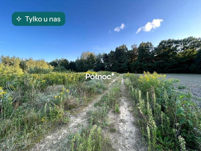 Działka budowlana Łazy