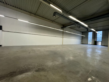 Lokal Poznań