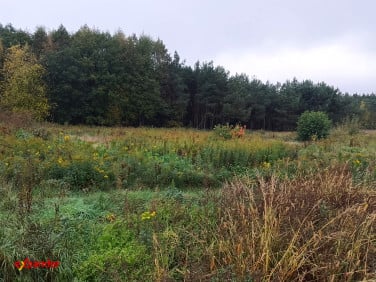 Działka budowlana Sąsieczno sprzedam