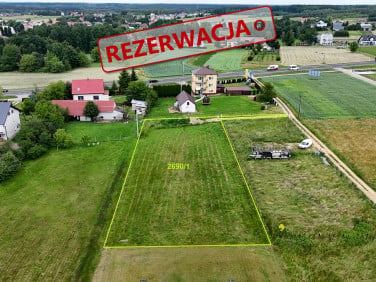 Działka przy lesie