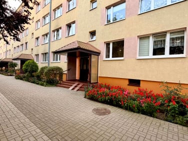 Mieszkanie Chełmno