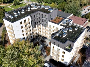 Lokal Kraków