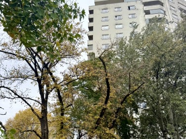 Mieszkanie Warszawa