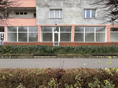 Lokal Piła