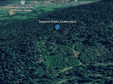 Działka leśna Sopotnia Wielka