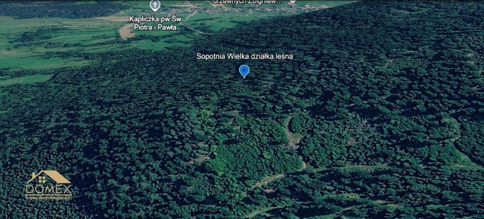 Działka leśna Sopotnia Wielka