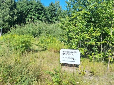 Działka budowlana Wołomin sprzedam