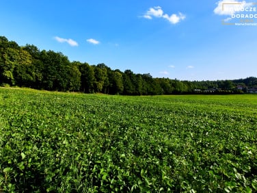 Działka budowlana Janów
