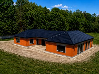 Dom Borowina