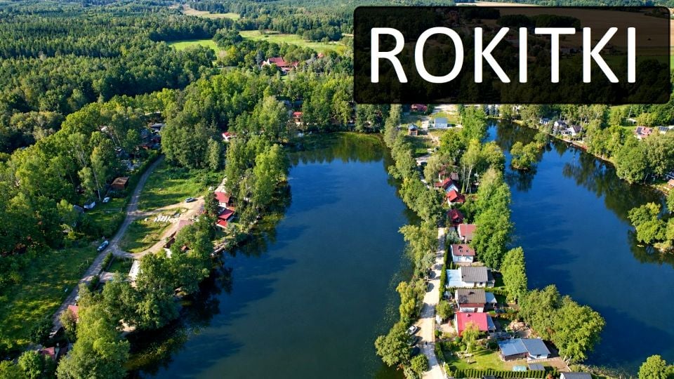 Działka siedliskowa Rokitki