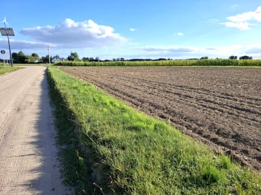 Działka Grzebienisko