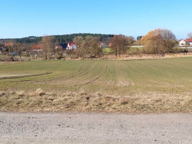 Działka Jordanowo