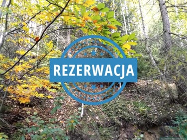 Działka Wisła