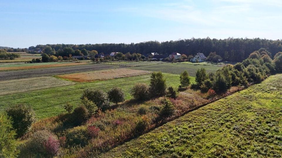 Działka budowlano-rolna Gwizdów
