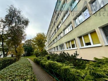 Mieszkanie Konin