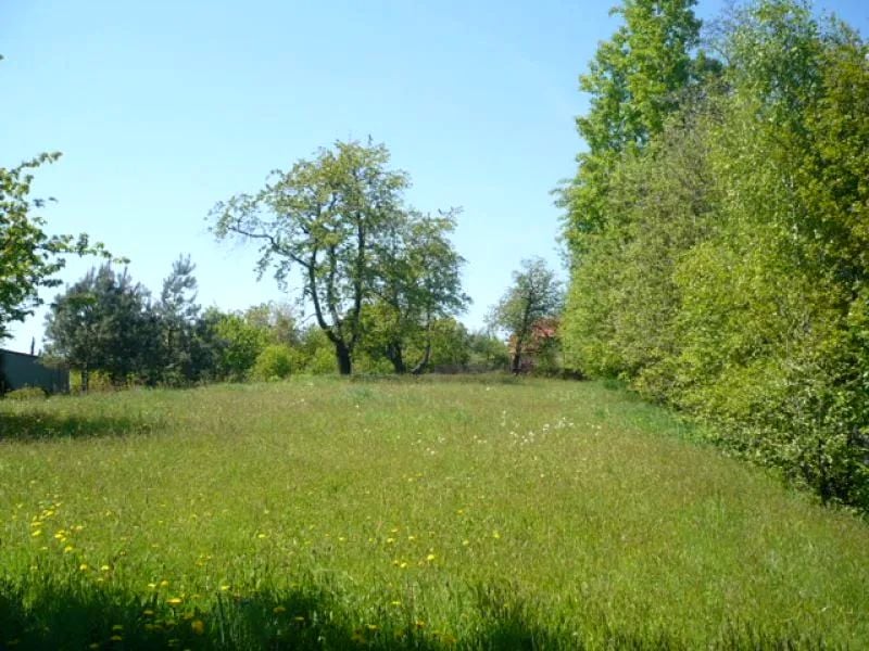Działka budowlana Czułów