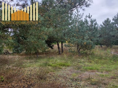 Działka budowlana Prace Duże