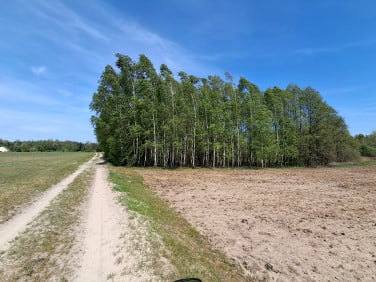 Działka rolna Starosiele