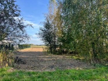 Działka Kryniczno