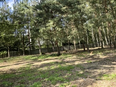 Działka budowlana Poręby