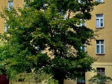 Mieszkanie Wrocław
