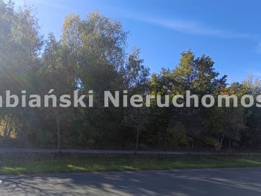Działka inwestycyjna Dachowa