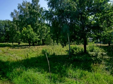 Działka Grądy