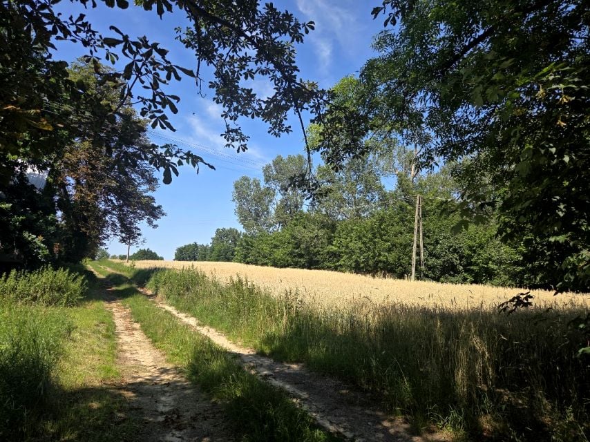 Działka Bodzanów
