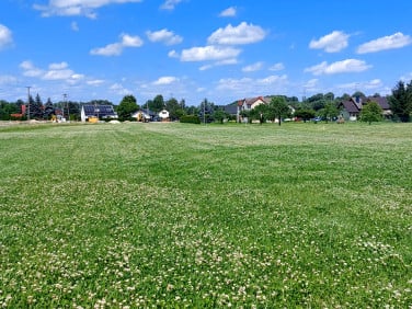 Działka Kowale