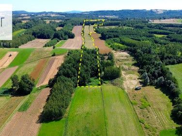 Działka Pilzno