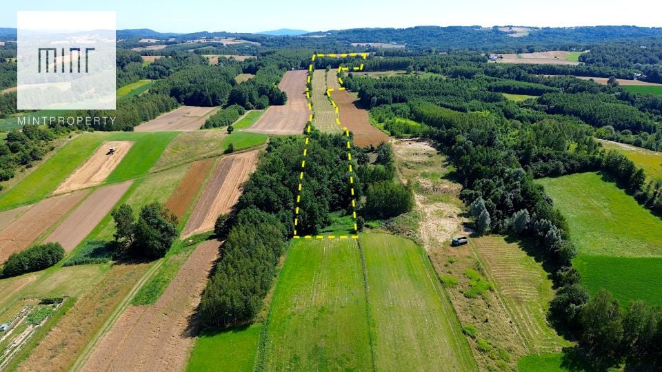 Działka Pilzno