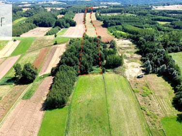 Działka Pilzno