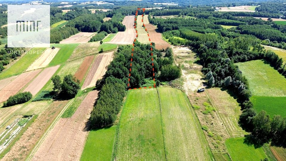 Działka Pilzno