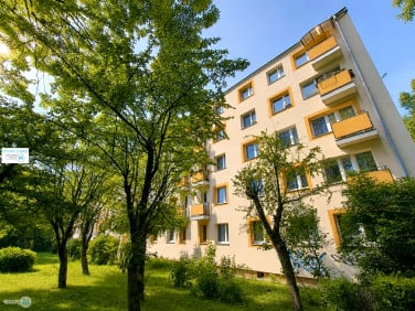 Mieszkanie Kielce