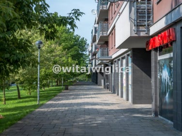 Lokal Wrocław